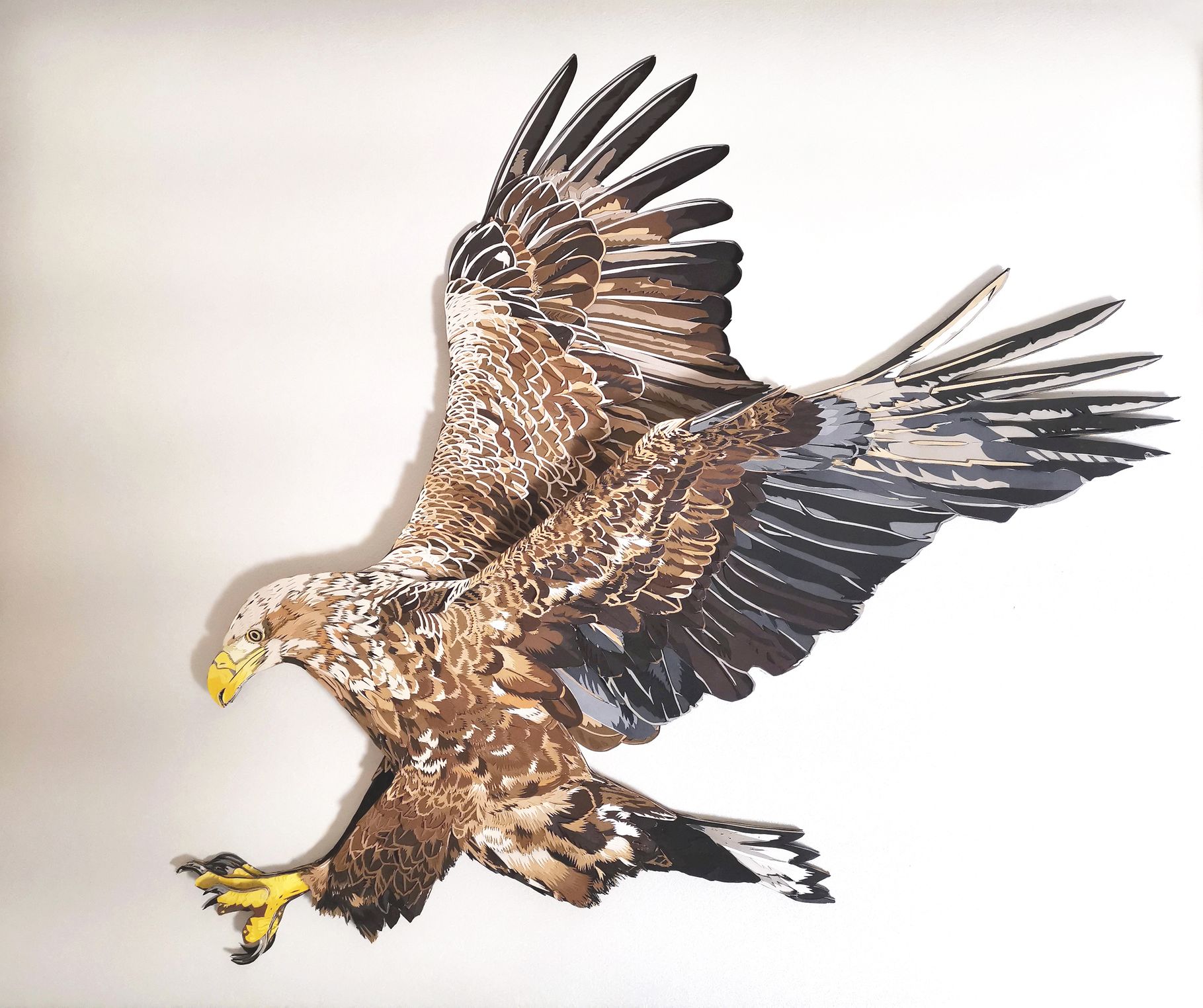 #MM.01 Title: "White-Tailed Eagle"
