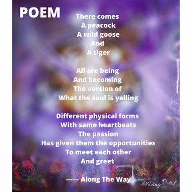 Poem Along The Way Poem