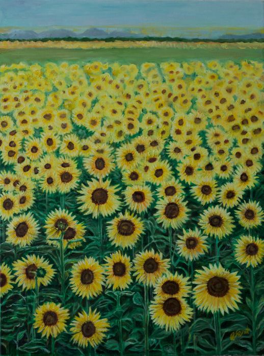 OS.02 Title: Sunflowers