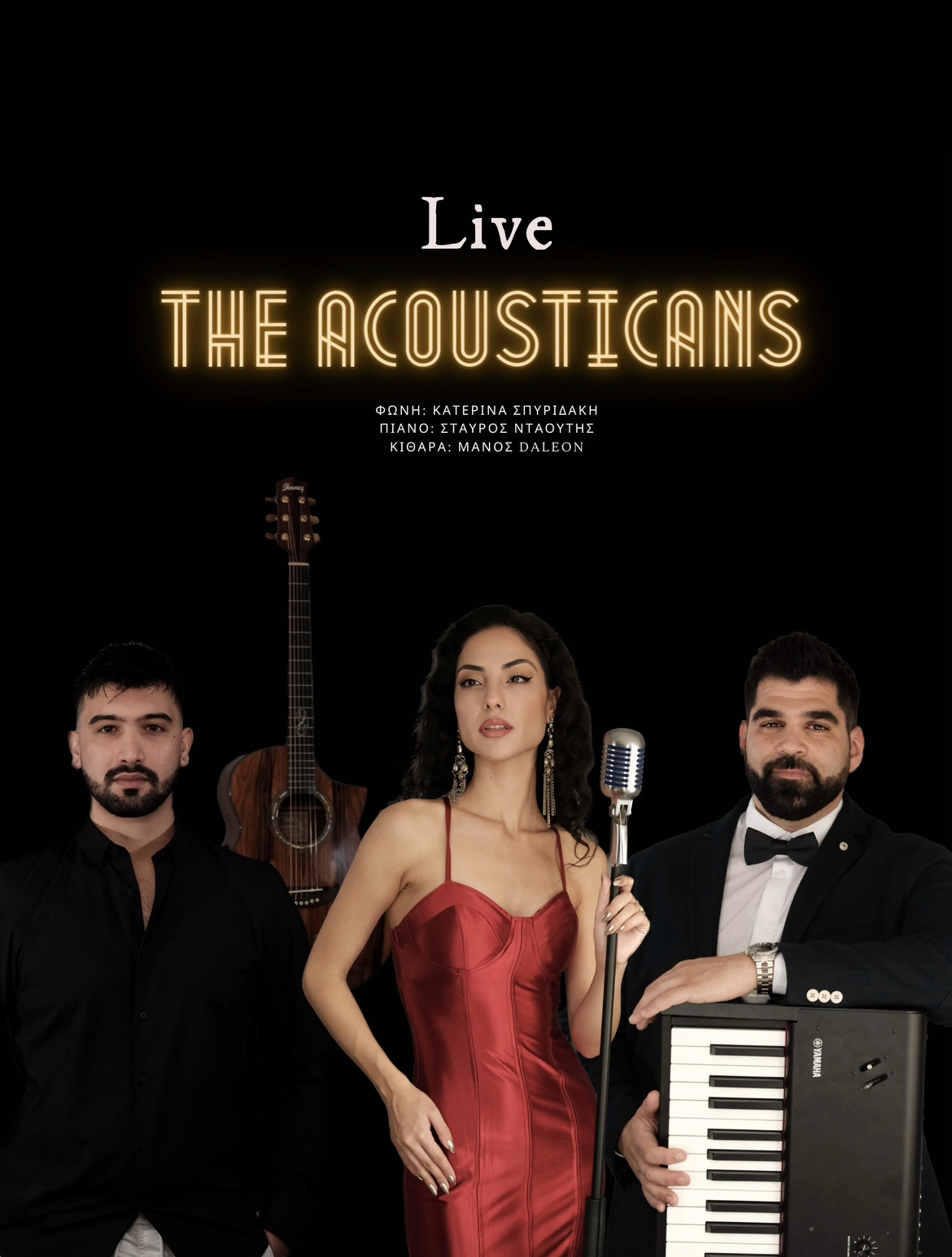 The Acousticans